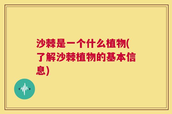 沙棘是一个什么植物(了解沙棘植物的基本信息)