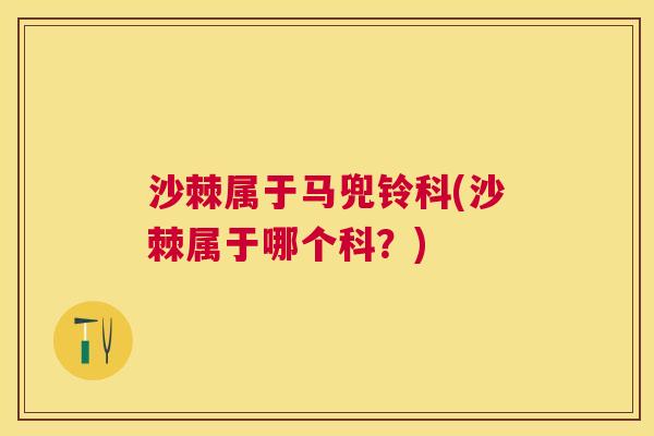沙棘属于马兜铃科(沙棘属于哪个科？)