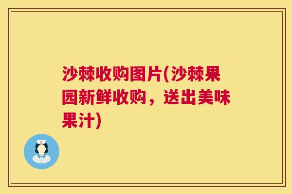 沙棘收购图片(沙棘果园新鲜收购，送出美味果汁)