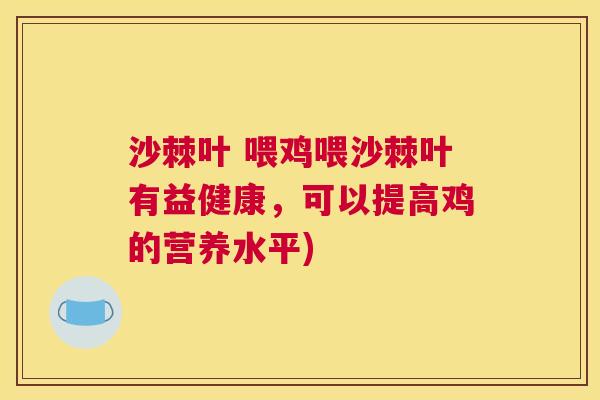 沙棘叶 喂鸡喂沙棘叶有益健康，可以提高鸡的营养水平)