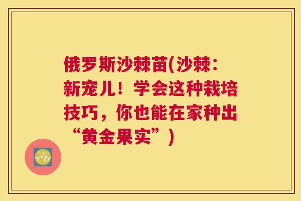 俄罗斯沙棘苗(沙棘：新宠儿！学会这种栽培技巧，你也能在家种出“黄金果实”)