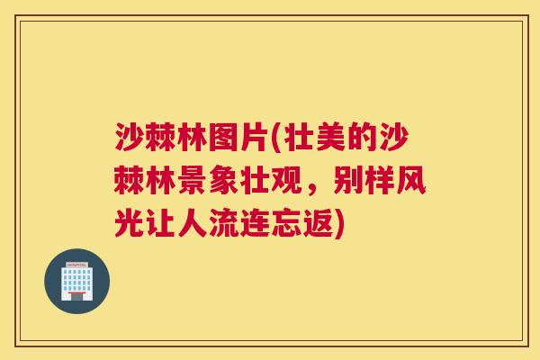 沙棘林图片(壮美的沙棘林景象壮观，别样风光让人流连忘返)