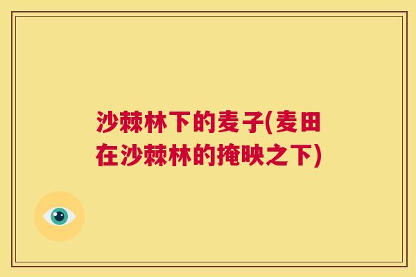 沙棘林下的麦子(麦田在沙棘林的掩映之下)