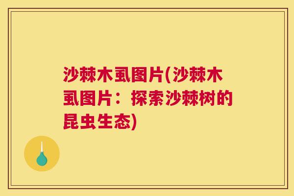沙棘木虱图片(沙棘木虱图片：探索沙棘树的昆虫生态)
