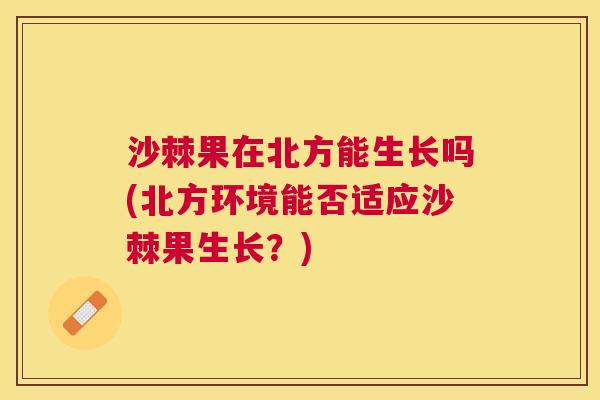 沙棘果在北方能生长吗(北方环境能否适应沙棘果生长？)