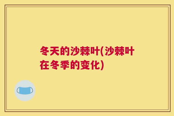 冬天的沙棘叶(沙棘叶在冬季的变化)
