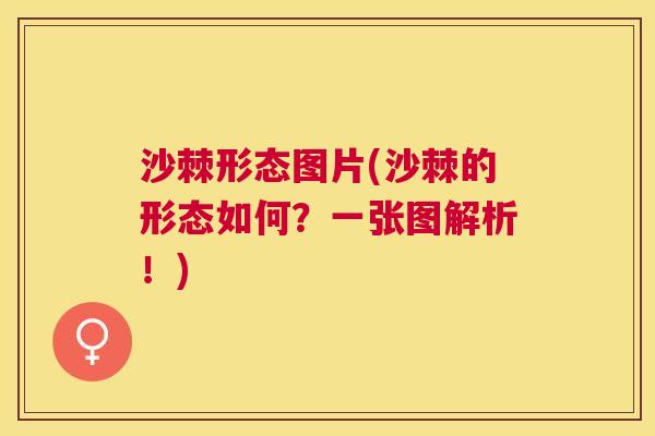 沙棘形态图片(沙棘的形态如何？一张图解析！)
