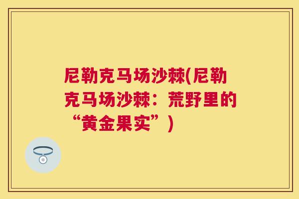 尼勒克马场沙棘(尼勒克马场沙棘：荒野里的“黄金果实”)