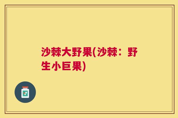 沙棘大野果(沙棘：野生小巨果)