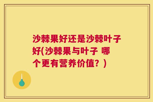 沙棘果好还是沙棘叶子好(沙棘果与叶子 哪个更有营养价值？)