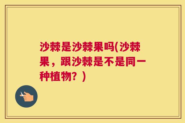 沙棘是沙棘果吗(沙棘果，跟沙棘是不是同一种植物？)