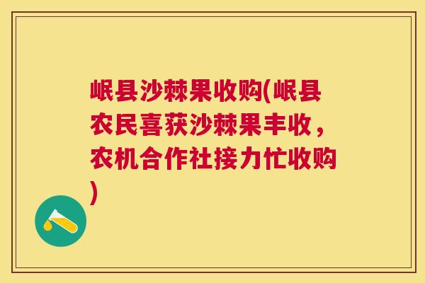 岷县沙棘果收购(岷县农民喜获沙棘果丰收，农机合作社接力忙收购)