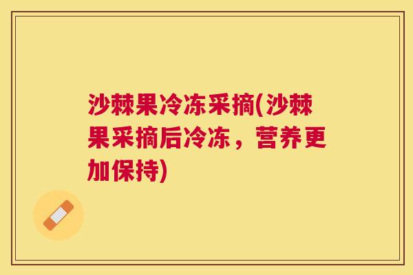 沙棘果冷冻采摘(沙棘果采摘后冷冻，营养更加保持)