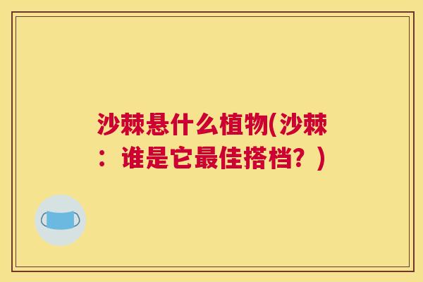 沙棘悬什么植物(沙棘：谁是它最佳搭档？)