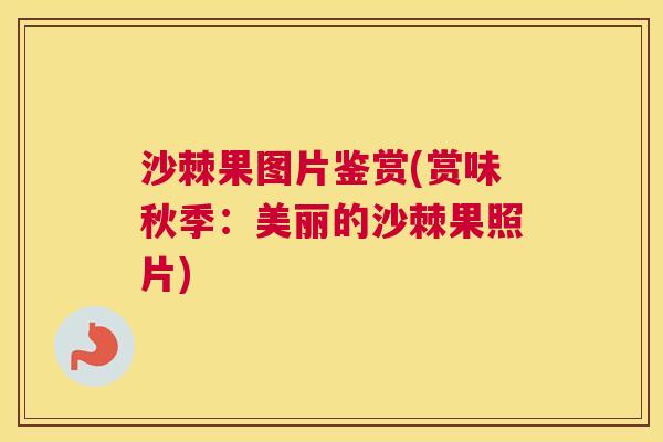 沙棘果图片鉴赏(赏味秋季：美丽的沙棘果照片)
