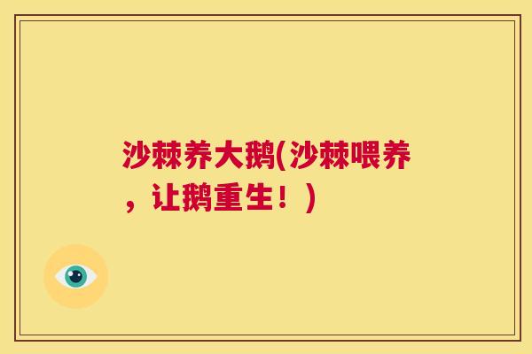 沙棘养大鹅(沙棘喂养，让鹅重生！)