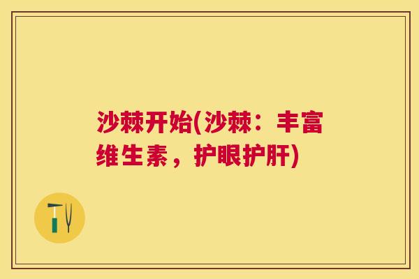 沙棘开始(沙棘：丰富维生素，护眼护肝)