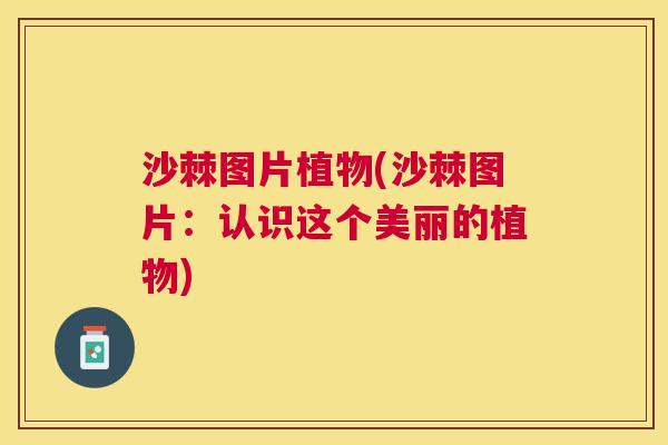 沙棘图片植物(沙棘图片：认识这个美丽的植物)