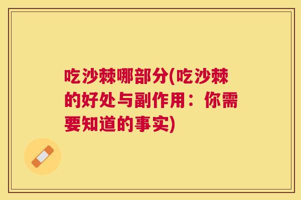 吃沙棘哪部分(吃沙棘的好处与副作用：你需要知道的事实)