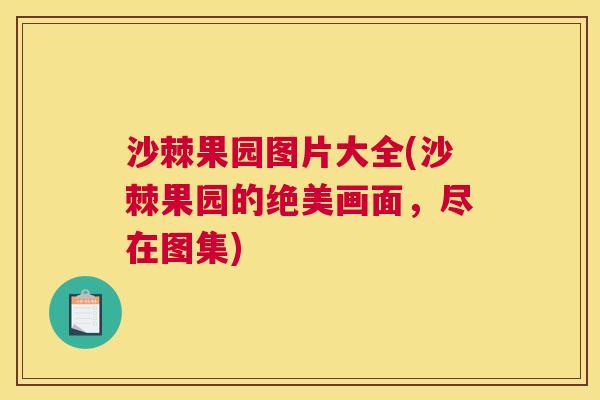 沙棘果园图片大全(沙棘果园的绝美画面，尽在图集)
