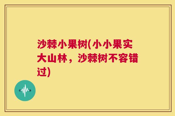 沙棘小果树(小小果实大山林，沙棘树不容错过)