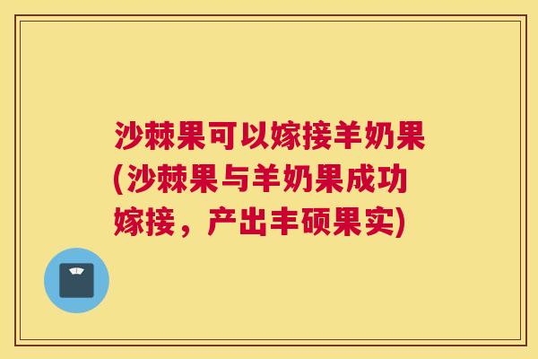 沙棘果可以嫁接羊奶果(沙棘果与羊奶果成功嫁接，产出丰硕果实)