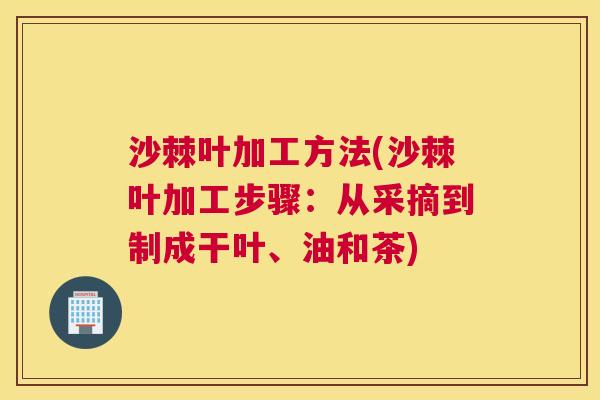沙棘叶加工方法(沙棘叶加工步骤：从采摘到制成干叶、油和茶)