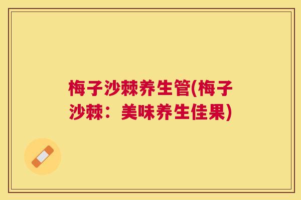 梅子沙棘养生管(梅子沙棘：美味养生佳果)