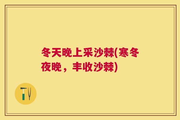 冬天晚上采沙棘(寒冬夜晚，丰收沙棘)