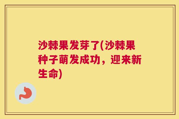 沙棘果发芽了(沙棘果种子萌发成功，迎来新生命)