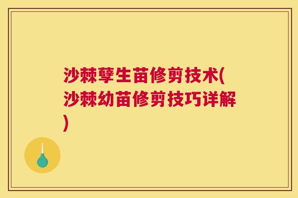 沙棘孽生苗修剪技术(沙棘幼苗修剪技巧详解)