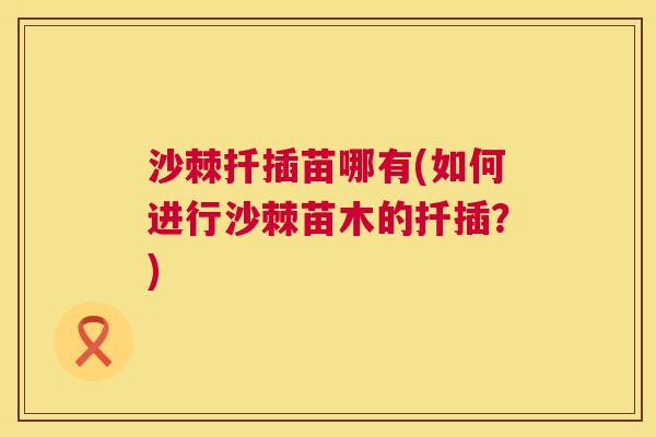 沙棘扦插苗哪有(如何进行沙棘苗木的扦插？)