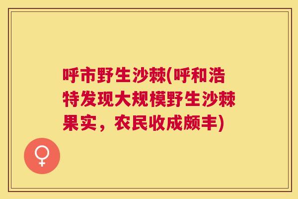 呼市野生沙棘(呼和浩特发现大规模野生沙棘果实，农民收成颇丰)
