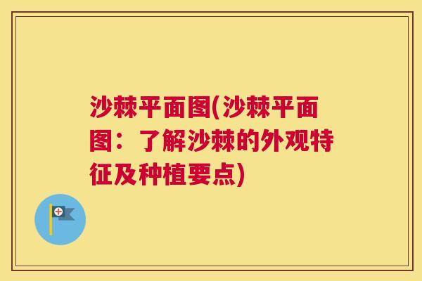 沙棘平面图(沙棘平面图：了解沙棘的外观特征及种植要点)