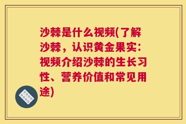 沙棘是什么视频(了解沙棘，认识黄金果实：视频介绍沙棘的生长习性、营养价值和常见用途)