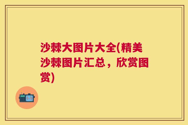 沙棘大图片大全(精美沙棘图片汇总，欣赏图赏)