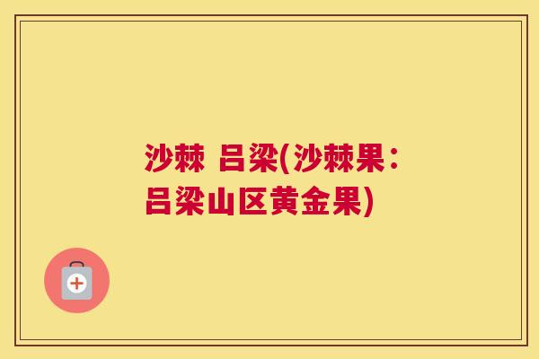 沙棘 吕梁(沙棘果：吕梁山区黄金果)