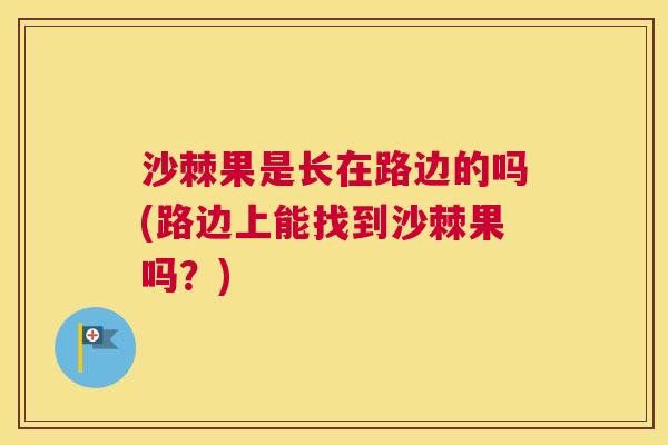 沙棘果是长在路边的吗(路边上能找到沙棘果吗？)