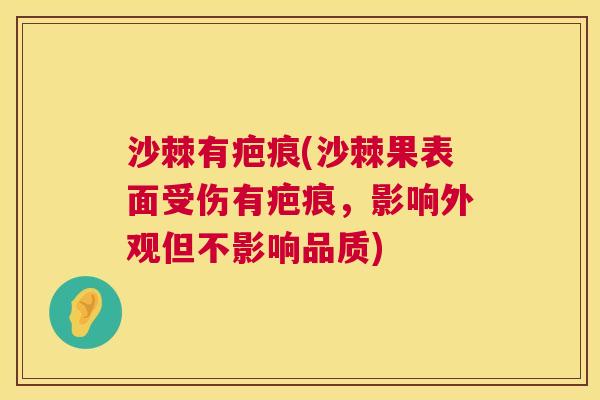 沙棘有疤痕(沙棘果表面受伤有疤痕，影响外观但不影响品质)