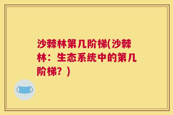沙棘林第几阶梯(沙棘林：生态系统中的第几阶梯？)