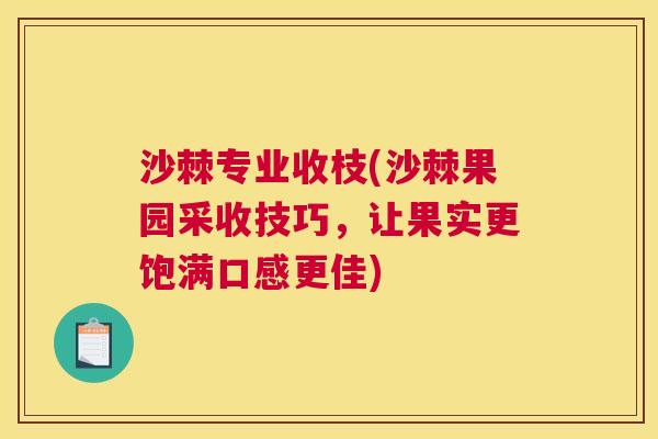 沙棘专业收枝(沙棘果园采收技巧，让果实更饱满口感更佳)