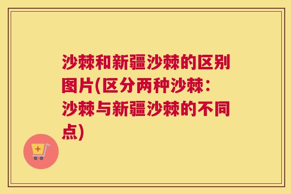 沙棘和新疆沙棘的区别图片(区分两种沙棘：沙棘与新疆沙棘的不同点)