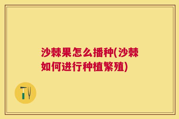 沙棘果怎么播种(沙棘如何进行种植繁殖)