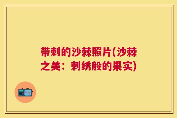带刺的沙棘照片(沙棘之美：刺绣般的果实)