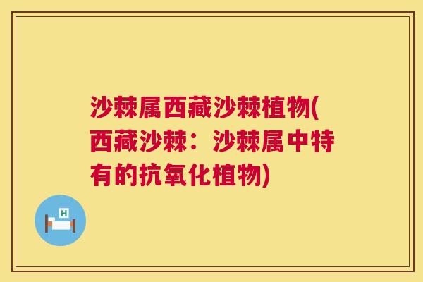 沙棘属西藏沙棘植物(西藏沙棘：沙棘属中特有的抗氧化植物)