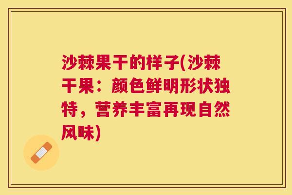 沙棘果干的样子(沙棘干果：颜色鲜明形状独特，营养丰富再现自然风味)