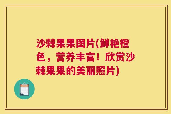 沙棘果果图片(鲜艳橙色，营养丰富！欣赏沙棘果果的美丽照片)