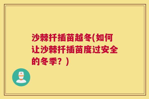 沙棘扦插苗越冬(如何让沙棘扦插苗度过安全的冬季？)