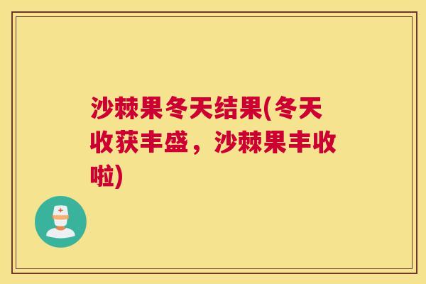 沙棘果冬天结果(冬天收获丰盛，沙棘果丰收啦)