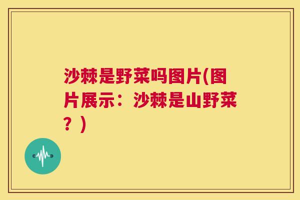 沙棘是野菜吗图片(图片展示：沙棘是山野菜？)
